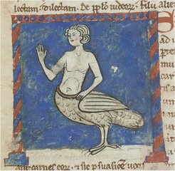 A siren, from a bestiary (BnF Lat. 6838 B), fo. 25v.